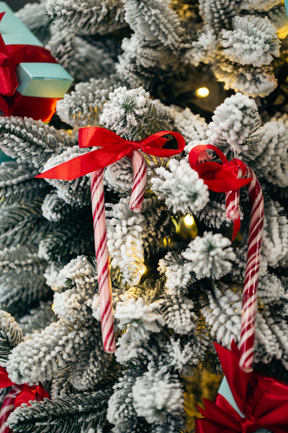 Christmas Trees & Holiday Decor